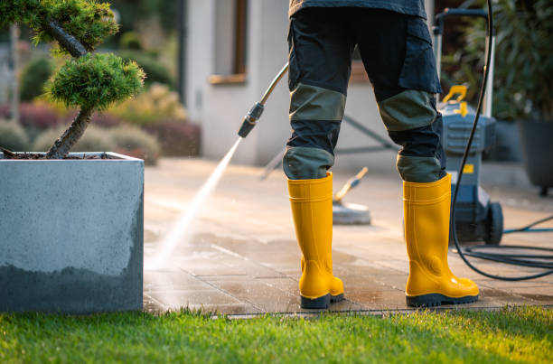 Best House Pressure Washing  in Canterwood, WA